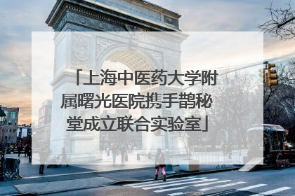 上海中医药大学附属曙光医院携手鹊秘堂成立联合实验室