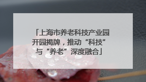 上海市养老科技产业园开园揭牌，推动“科技”与“养老”深度融合