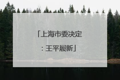 上海市委决定：王平履新