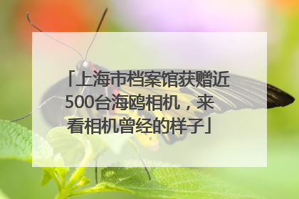 上海市档案馆获赠近500台海鸥相机，来看相机曾经的样子