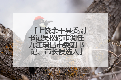 上饶余干县委副书记吴松跨市调任九江瑞昌市委副书记、市长候选人