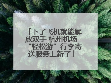 下了飞机就能解放双手 杭州机场“轻松游”行李寄送服务上新了
