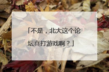 不是，北大这个论坛真打游戏啊？