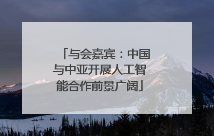与会嘉宾：中国与中亚开展人工智能合作前景广阔