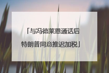 与冯德莱恩通话后 特朗普同意推迟加税