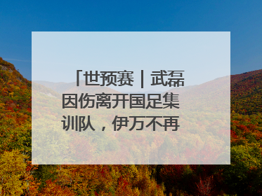 世预赛｜武磊因伤离开国足集训队，伊万不再补招顶替球员