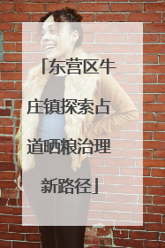 东营区牛庄镇探索占道晒粮治理新路径
