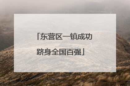 东营区一镇成功跻身全国百强