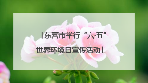 东营市举行“六·五”世界环境日宣传活动
