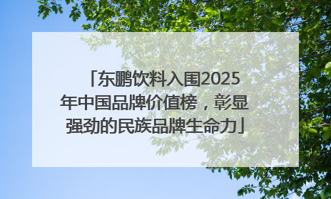 东鹏饮料入围2025年中国品牌价值榜，彰显强劲的民族品牌生命力