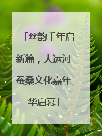 丝韵千年启新篇，大运河蚕桑文化嘉年华启幕