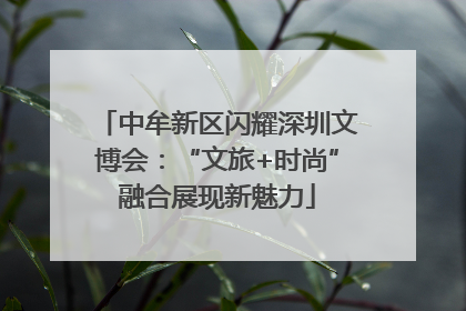 中牟新区闪耀深圳文博会：“文旅+时尚”融合展现新魅力