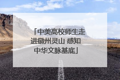 中美高校师生走进徽州灵山 感知中华文脉基底