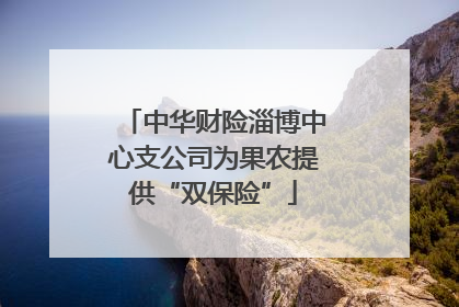 中华财险淄博中心支公司为果农提供“双保险”