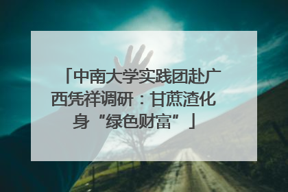 中南大学实践团赴广西凭祥调研：甘蔗渣化身“绿色财富”