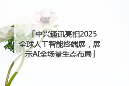 中兴通讯亮相2025全球人工智能终端展，展示AI全场景生态布局
