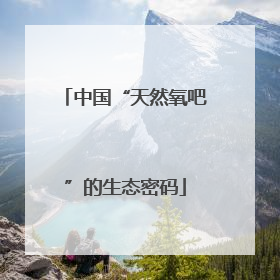 中国“天然氧吧”的生态密码