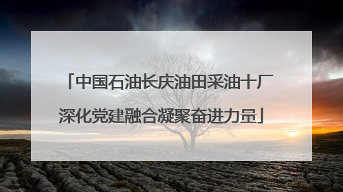 中国石油长庆油田采油十厂深化党建融合凝聚奋进力量