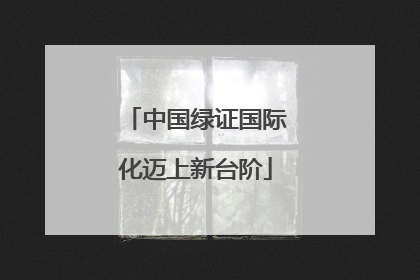 中国绿证国际化迈上新台阶