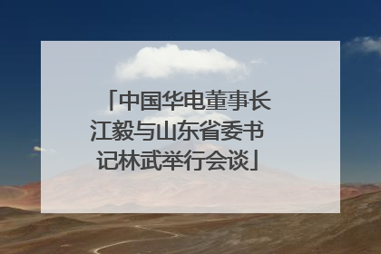 中国华电董事长江毅与山东省委书记林武举行会谈