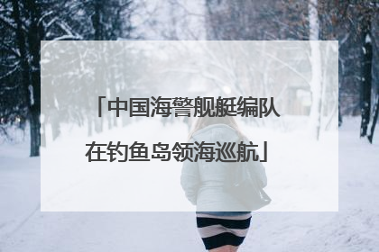 中国海警舰艇编队在钓鱼岛领海巡航