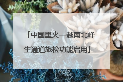 中国里火—越南北峰生通道旅检功能启用