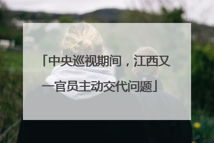 中央巡视期间，江西又一官员主动交代问题