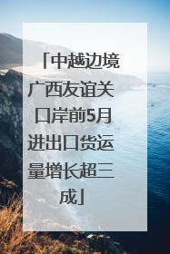 中越边境广西友谊关口岸前5月进出口货运量增长超三成