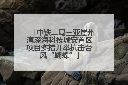 中铁二局三亚崖州湾深海科技城安置区项目多措并举抗击台风“蝴蝶”