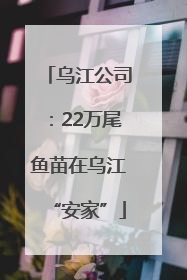 乌江公司：22万尾鱼苗在乌江“安家”