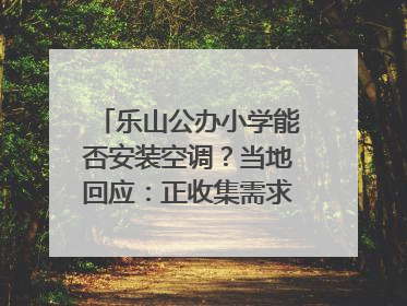 乐山公办小学能否安装空调？当地回应：正收集需求，部分中小学已启动安装｜云求助