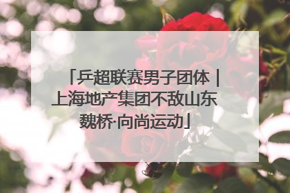 乒超联赛男子团体｜上海地产集团不敌山东魏桥·向尚运动