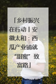乡村振兴在行动丨安徽太和：西瓜产业铺就“甜蜜”致富路