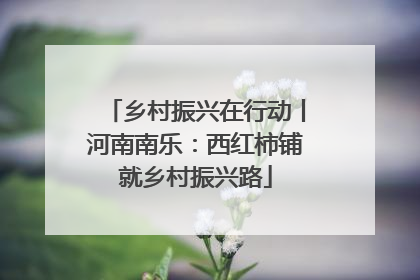 乡村振兴在行动丨河南南乐：西红柿铺就乡村振兴路