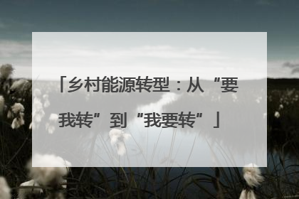 乡村能源转型：从“要我转”到“我要转”