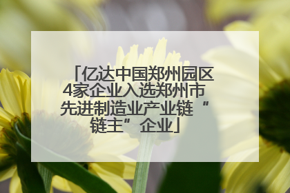 亿达中国郑州园区4家企业入选郑州市先进制造业产业链“链主”企业