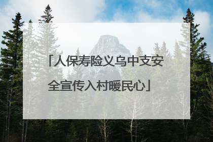 人保寿险义乌中支安全宣传入村暖民心