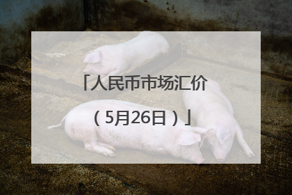 人民币市场汇价（5月26日）