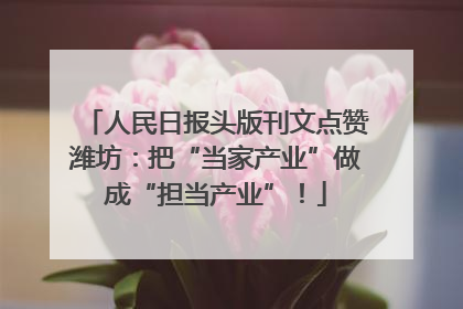 人民日报头版刊文点赞潍坊：把“当家产业”做成“担当产业”！