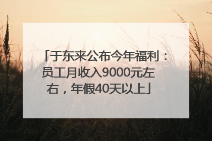 于东来公布今年福利：员工月收入9000元左右，年假40天以上