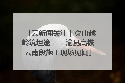 云新闻关注｜穿山越岭筑坦途——渝昆高铁云南段施工现场见闻