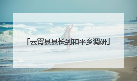 云霄县县长到和平乡调研
