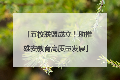 五校联盟成立！助推雄安教育高质量发展
