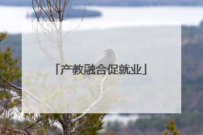 产教融合促就业