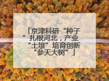 京津科研“种子”扎根河北，产业“土壤”培育创新“参天大树”