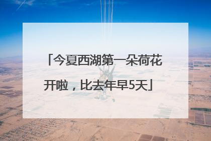 今夏西湖第一朵荷花开啦，比去年早5天