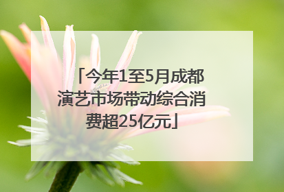 今年1至5月成都演艺市场带动综合消费超25亿元