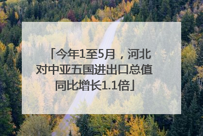 今年1至5月，河北对中亚五国进出口总值同比增长1.1倍