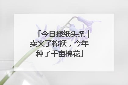 今日报纸头条｜卖火了棉袄，今年种了千亩棉花