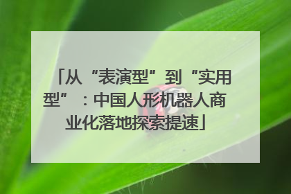 从“表演型”到“实用型”：中国人形机器人商业化落地探索提速